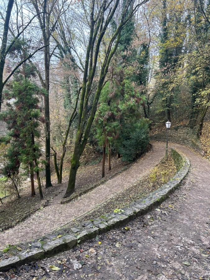 Historic Center-Lovely Nature Zagreb Exterior foto
